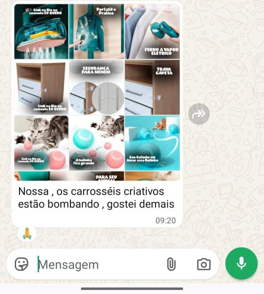 Conversa no WhatsApp elogiando os carrosséis criativos